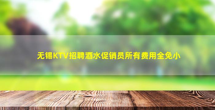 无锡KTV招聘酒水促销员所有费用全免小